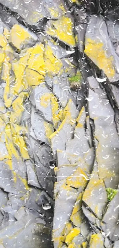Rocky texture wallpaper with yellow accents.