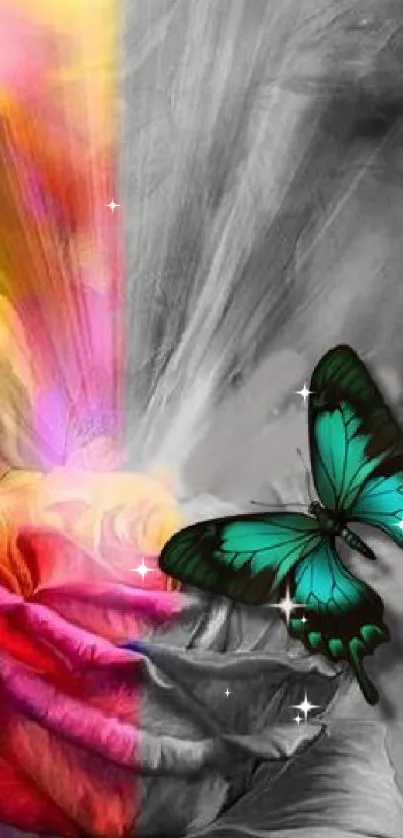 Vibrant multicolored rose with a turquoise butterfly on a grayscale background.