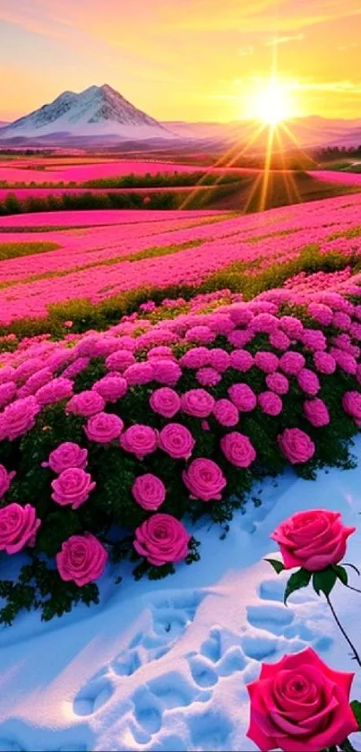 Pink roses and sunset over a snowy mountain landscape.