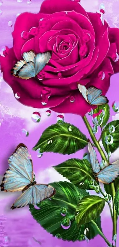 Pink rose and blue butterflies with dew drops on a purple background.