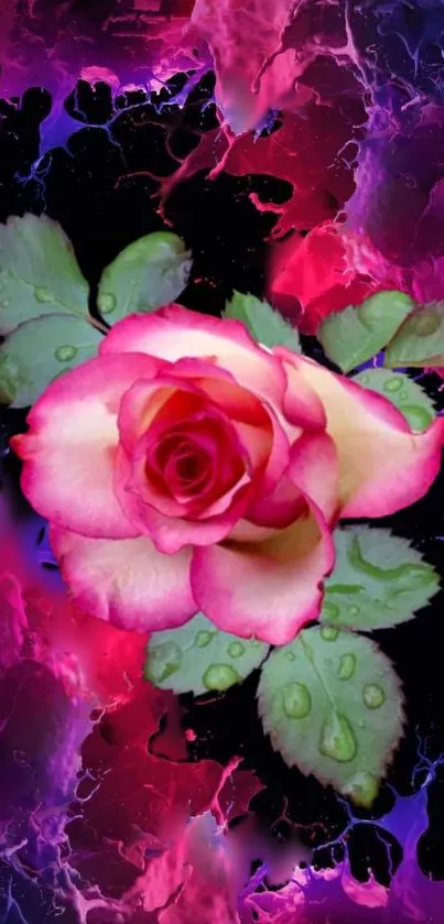 Vibrant pink rose with abstract background.