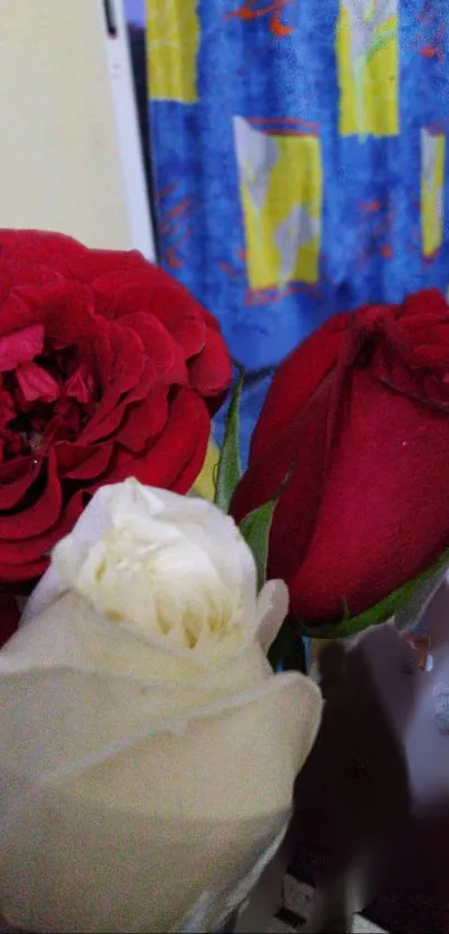 Vibrant red and white roses on a floral background.