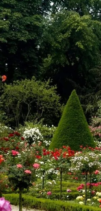 A vibrant garden with roses and lush greenery.