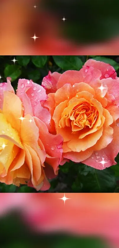 Vibrant roses with sparkles and droplets in a lush garden setting