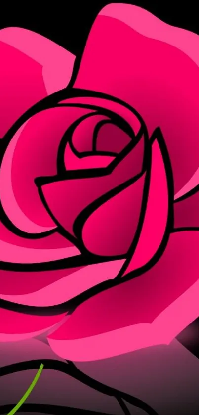 Vibrant pink rose illustration on black background.