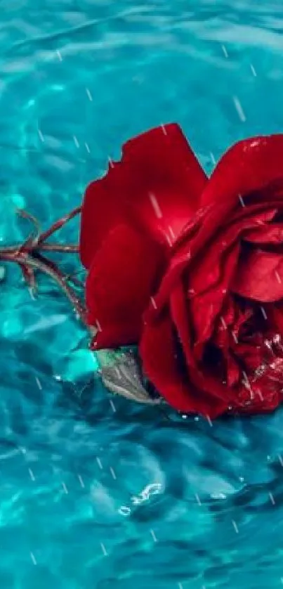 Red rose floats on swirling blue water, creating a stunning visual.