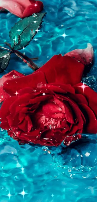 Red rose floating in shimmering turquoise water background.