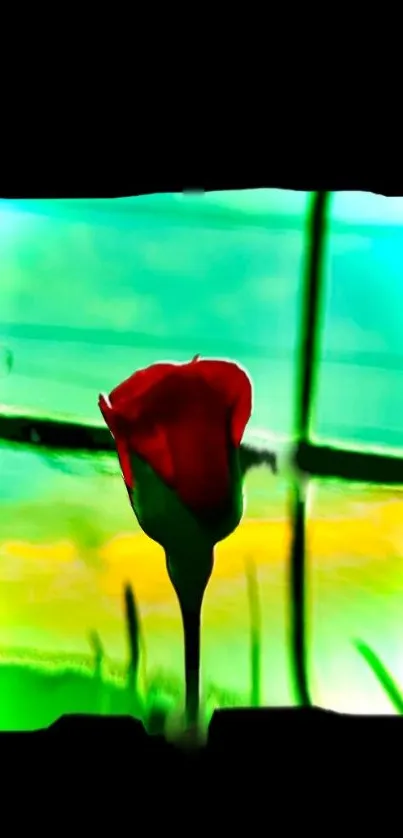 Red rose with abstract cyan background mobile wallpaper.