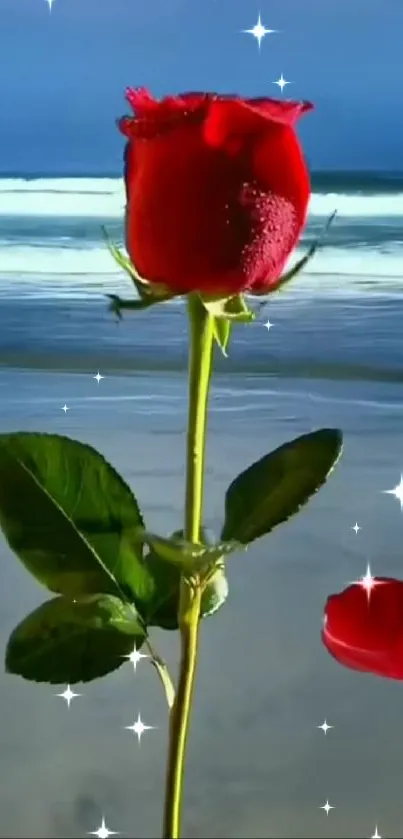 Red rose standing against a calm ocean background.