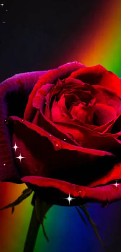 Red rose illuminated by a colorful rainbow on a dark background.