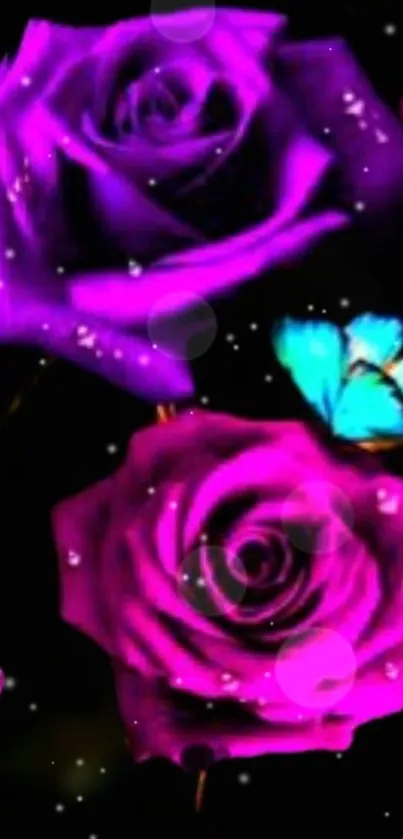 Mobile wallpaper of vibrant purple and pink roses with a blue butterfly.