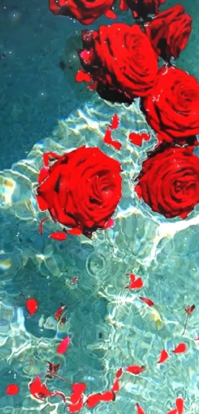 Red roses gracefully float on teal water.