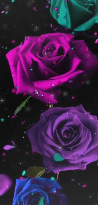 Vibrant roses in teal, magenta, and purple on a black background wallpaper.