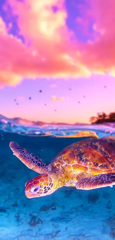 Tropical sea turtle swimming under a vibrant pink sunset.