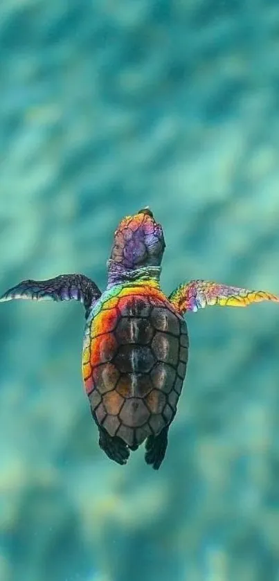 Colorful sea turtle swimming in blue ocean.