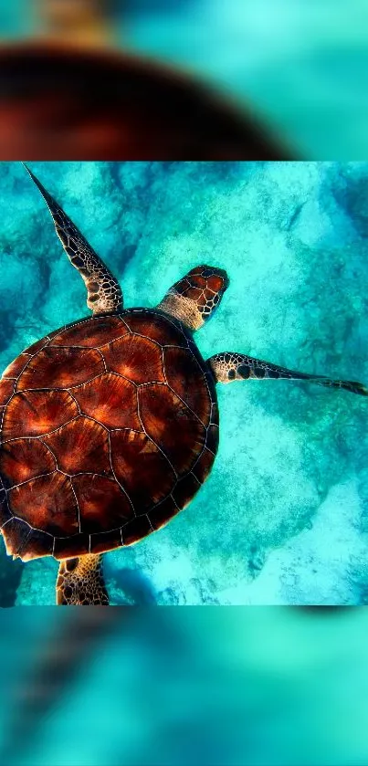 Illustration of a vibrant sea turtle swimming in clear turquoise waters.