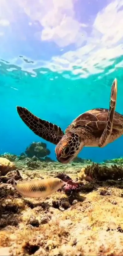 Vibrant sea turtle swimming underwater with coral and blue water backdrop.