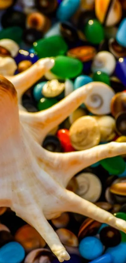 Colorful wallpaper showcasing a seashell and pebbles.