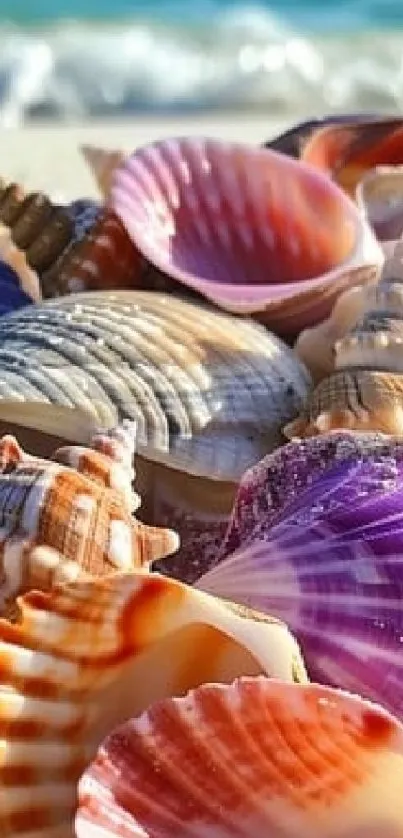 Vibrant collection of seashells on a sandy beach by the ocean waves.