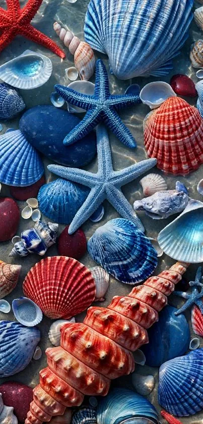 Colorful seashells and starfish ocean wallpaper.
