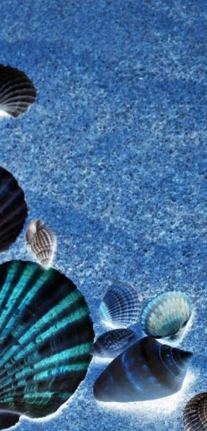 Vibrant seashells on a blue ocean background, perfect for mobile wallpaper.