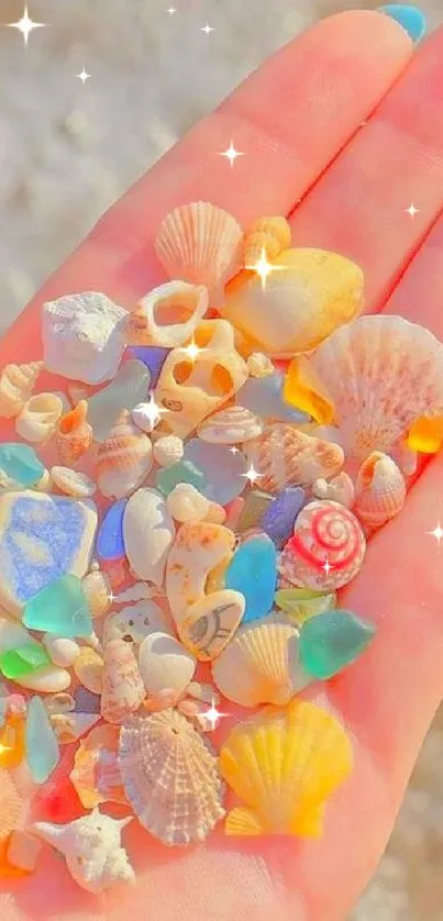 Hand holding vibrant seashells in sunlight on the beach.