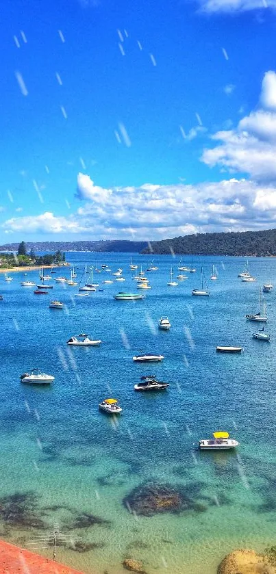 Colorful boats in a serene seaside harbor under a vibrant blue sky.