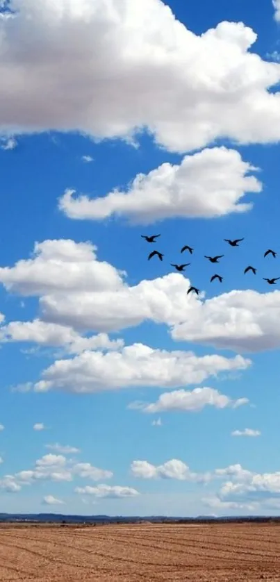 Blue sky with clouds and birds over a field landscape.