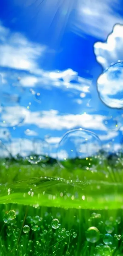 Colorful nature wallpaper with blue sky and bubbles.