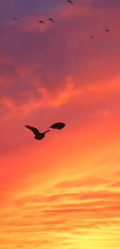 Orange sunset sky with bird silhouette in tranquil view.