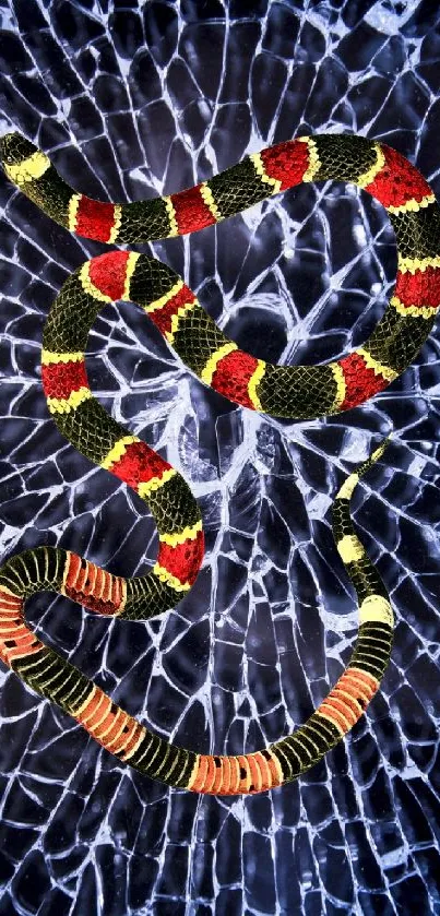 Vibrant snake on cracked glass wallpaper.