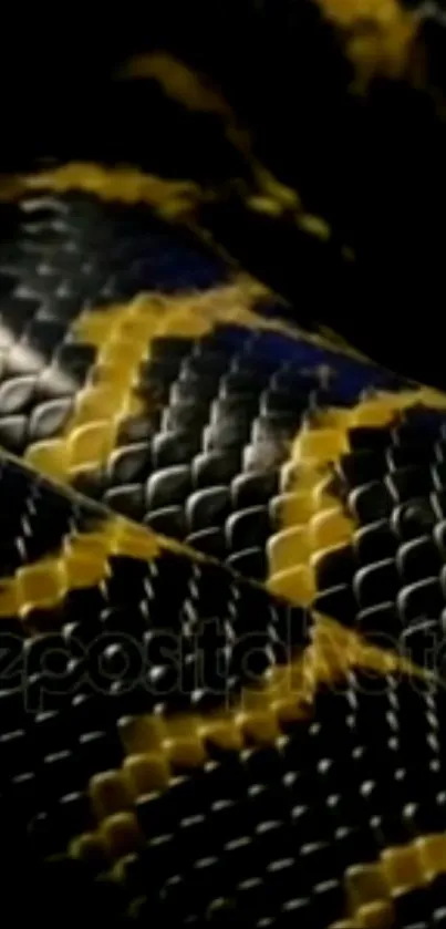 Close-up of black and yellow snake scales.