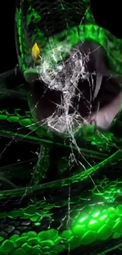 Green snake with yellow eyes and cracked glass design.