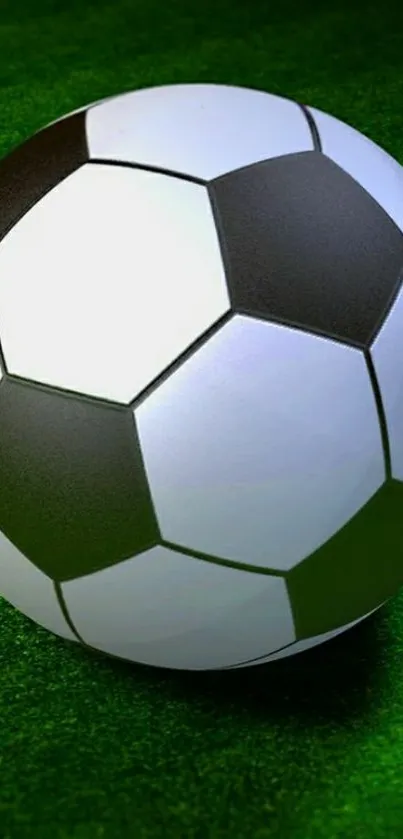 Soccer ball on vibrant green grass background.