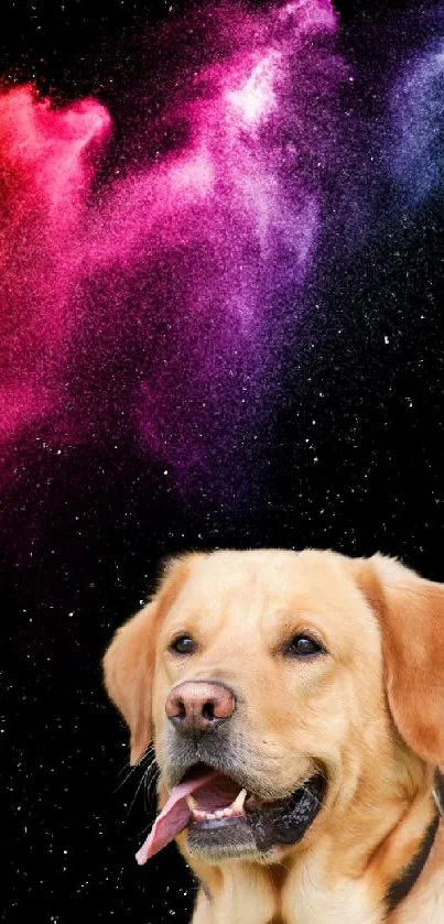 Golden dog in front of vibrant space nebula background with stars.