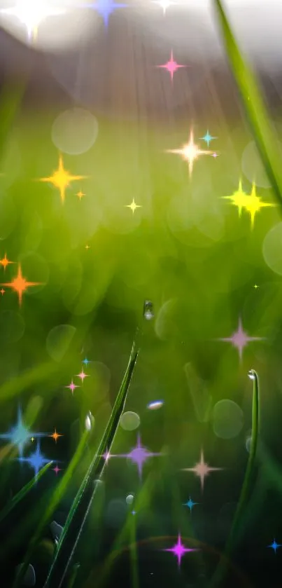 Green grass wallpaper with shining stars and bokeh effect.