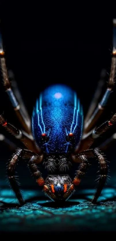 Close-up image of a vibrant blue spider on a textured surface.