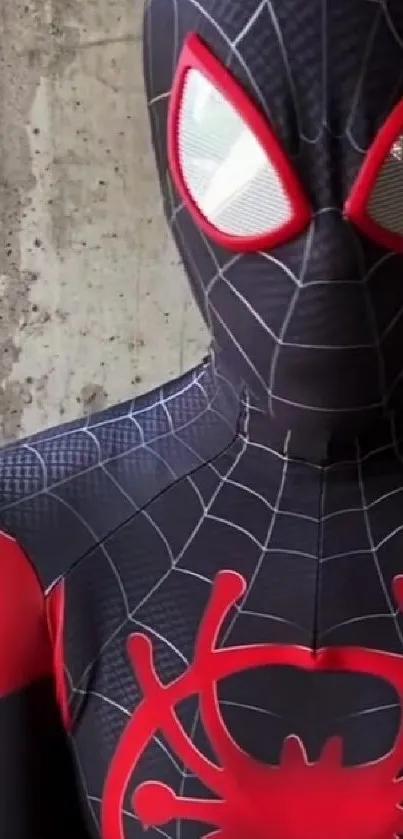 Spider-Man in black and red suit, vibrant design.