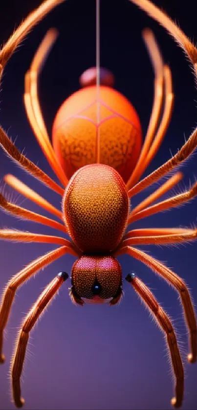 Close-up of vibrant orange spider on gradient background.