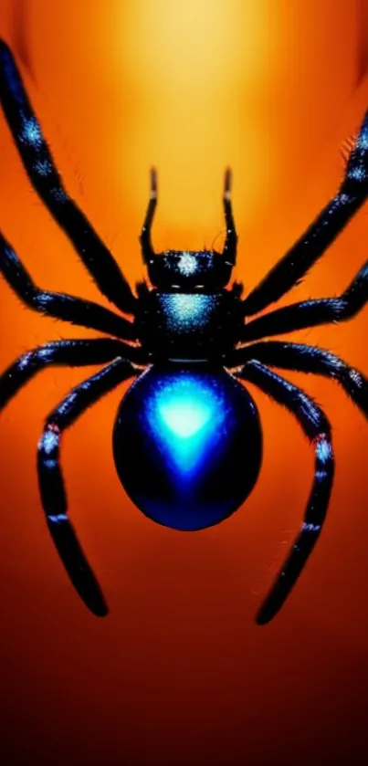 Blue spider on vivid orange background mobile wallpaper.