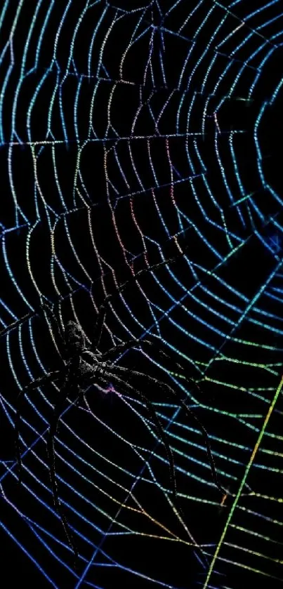 Vibrant multicolor spider web on black background.