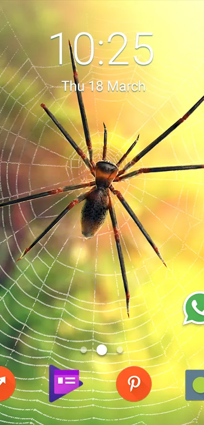 Vivid mobile wallpaper with a spider on a colorful web background.