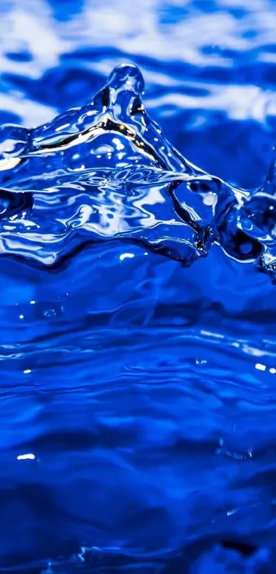 Vibrant blue water splash mobile wallpaper.