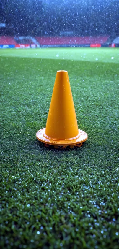 Orange cone on a green sports field with raindrops falling.