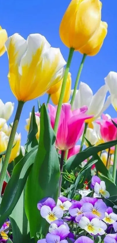 Vibrant tulips and flowers under a clear blue sky.