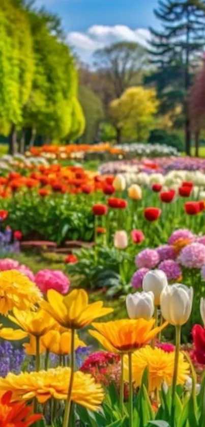 Vibrant spring garden with colorful tulips and lush greenery.