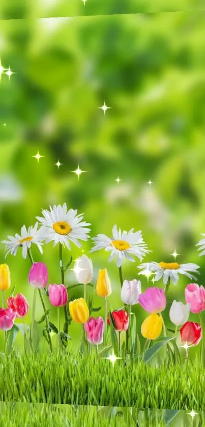 Vibrant spring floral wallpaper with daisies, tulips, and a green background.