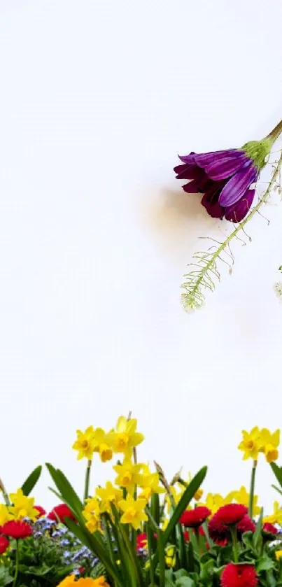 Mobile wallpaper with colorful spring flowers on a white background.