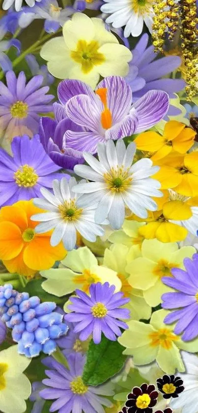 Vibrant floral wallpaper with colorful spring blooms in purple, yellow, and white.