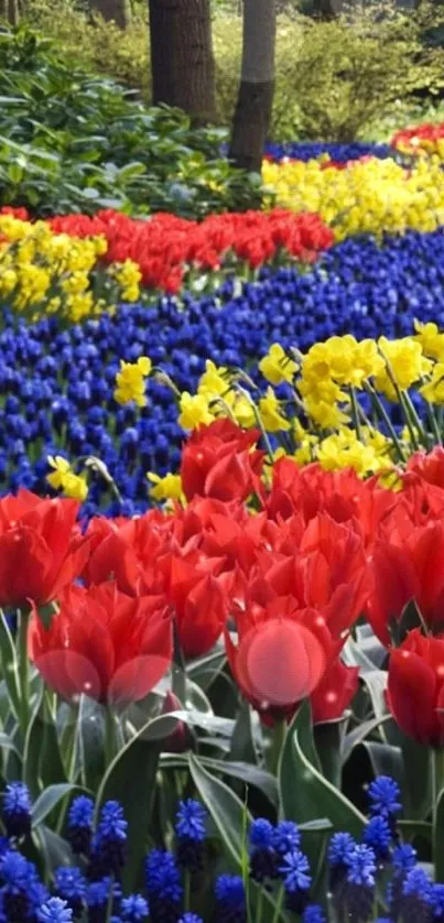 Vibrant spring garden with colorful tulips in full bloom.